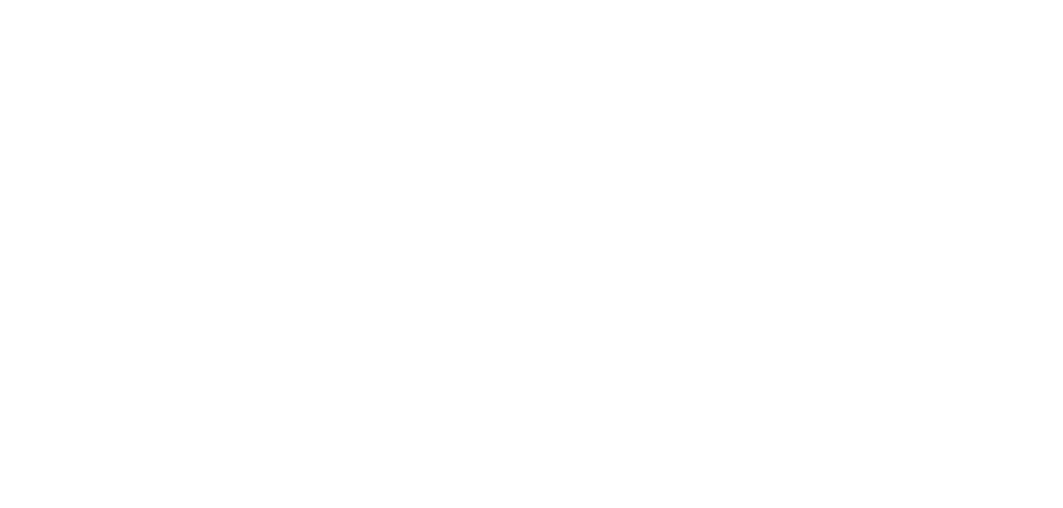 Haslam Sports Group